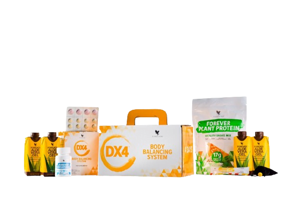 DX4 – Sistema de Equilibrio Corporal 3 479 removebg preview